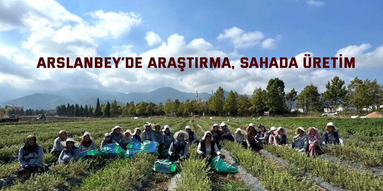 TABİP’te üretimden markalaşmaya uzanan hasat