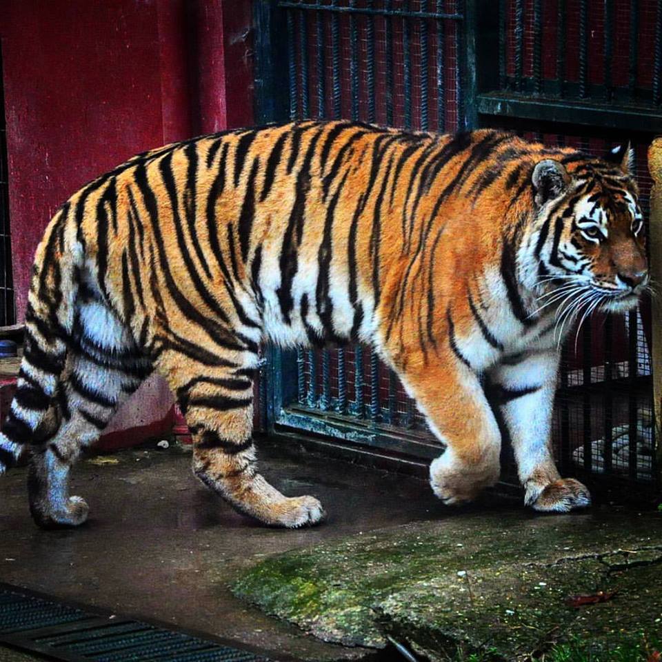 400 bin kişi ziyaret etti