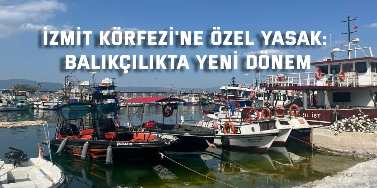İzmit Körfezi'ne Özel Yasak: Balıkçılıkta Yeni Dönem