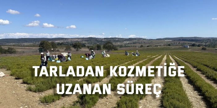 Tarladan Kozmetiğe Uzanan Süreç