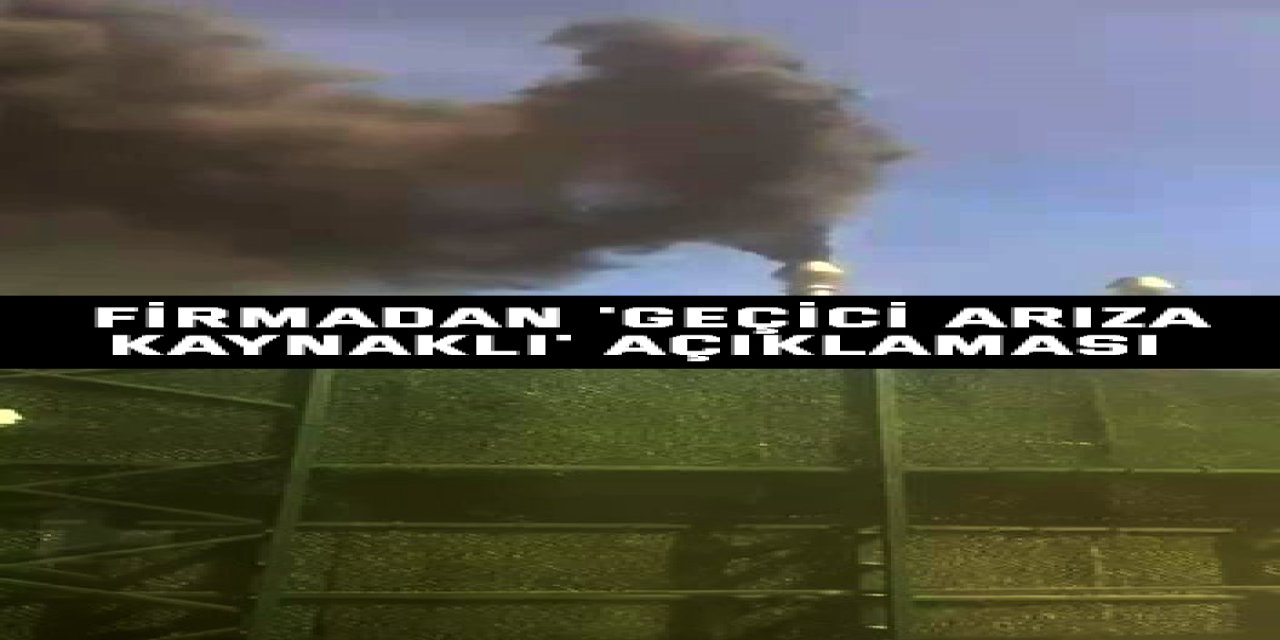 Firmadan 'geçici arıza kaynaklı' açıklaması