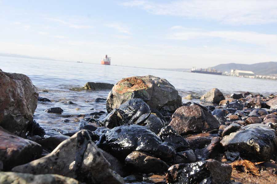 Denizden başka maddelerde çıktı