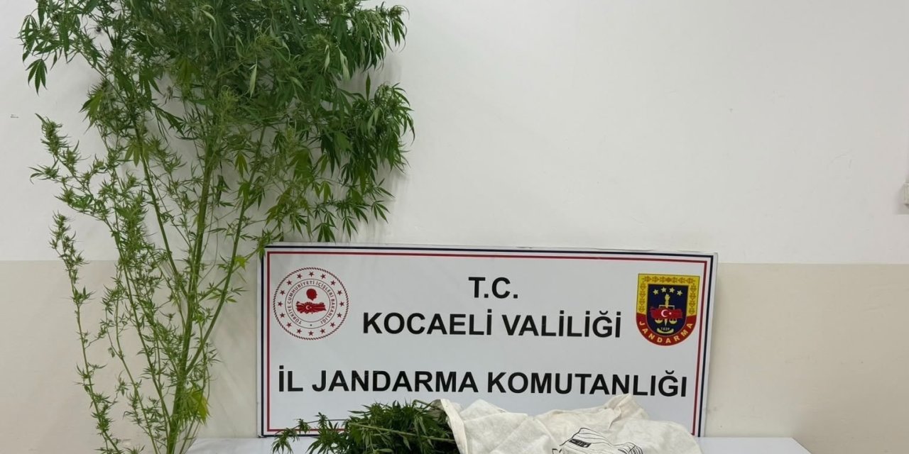 3 Kilo 750 Gram Esrar Yakalandı