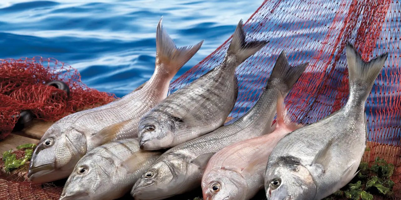 Su ürünleri sektörü Future  Fish Eurasia’da buluşuyor