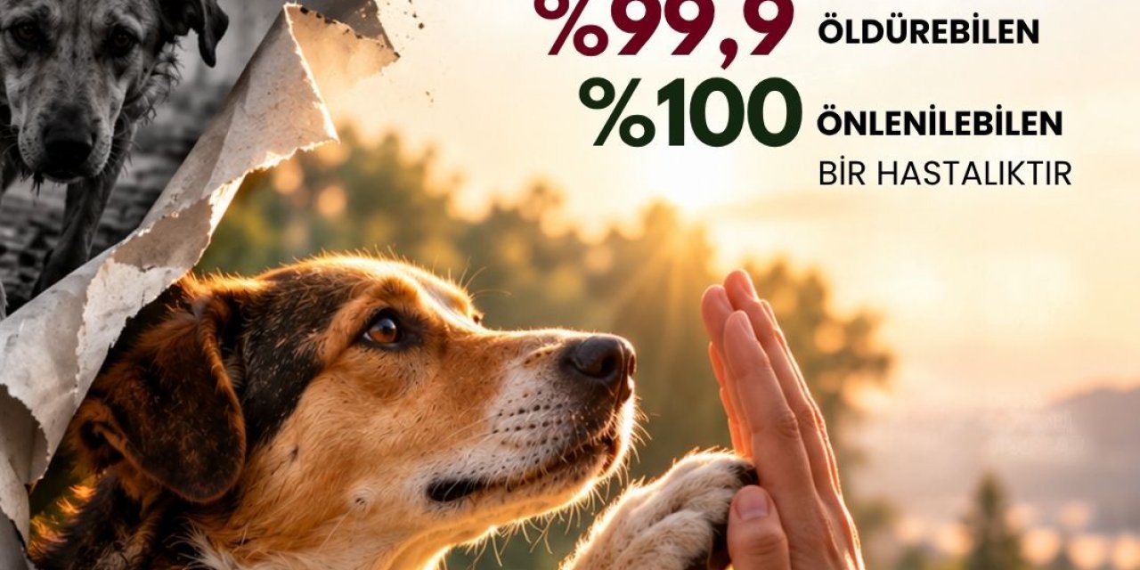GTÜ, UI 86 Basamak Yükseldi