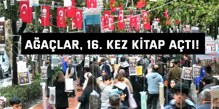 Ağaçlar, 16. kez kitap açtı!