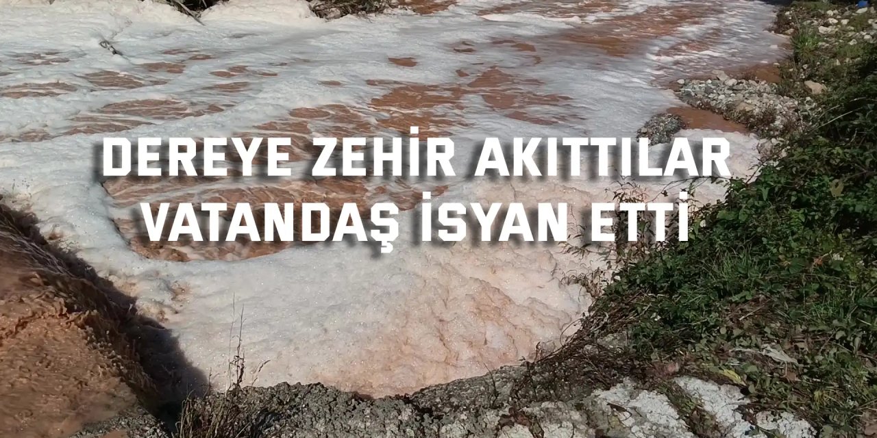 Dereye Zehir Akıttılar, Vatandaş İsyan Etti