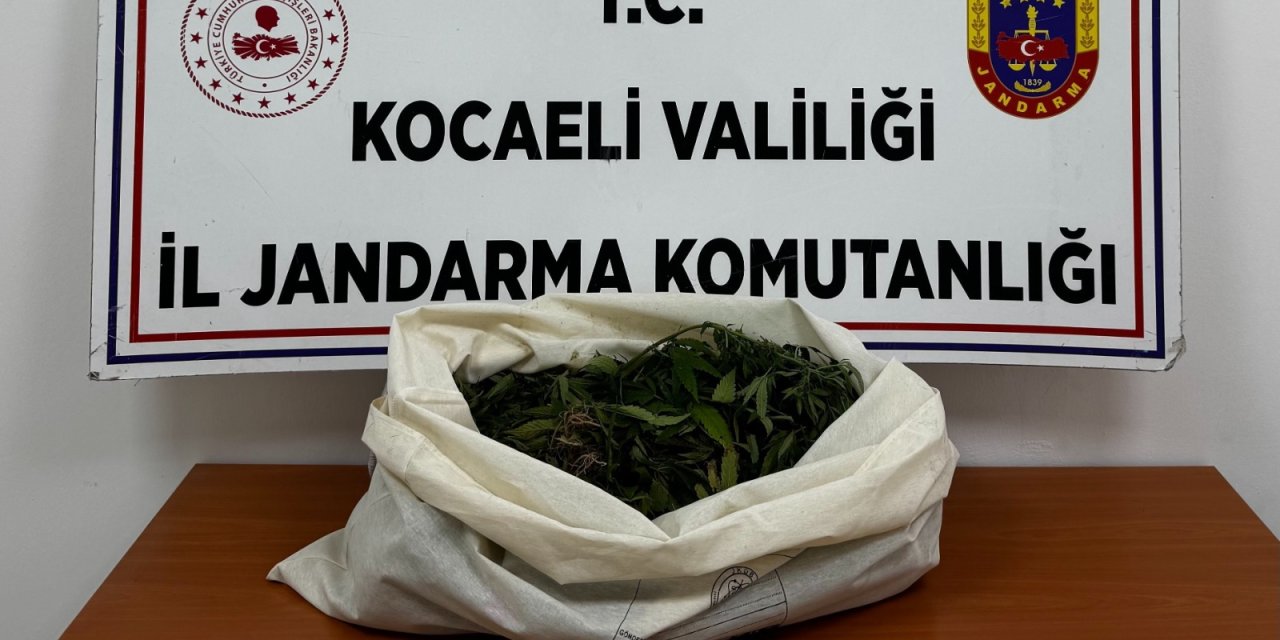 Kocaeli'de 4 İlçede Eş Zamanlı Operasyon: 7 Gözaltı