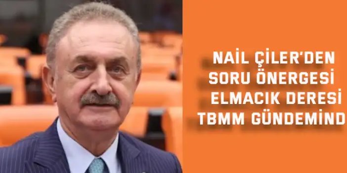 NAİL ÇİLER’DEN SORU ÖNERGESİ    Elmacık Deresi  TBMM Gündeminde