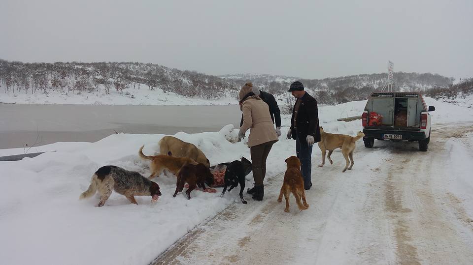 BELEDİYELERE ÖRNEK OLMASI UMUDUYLA