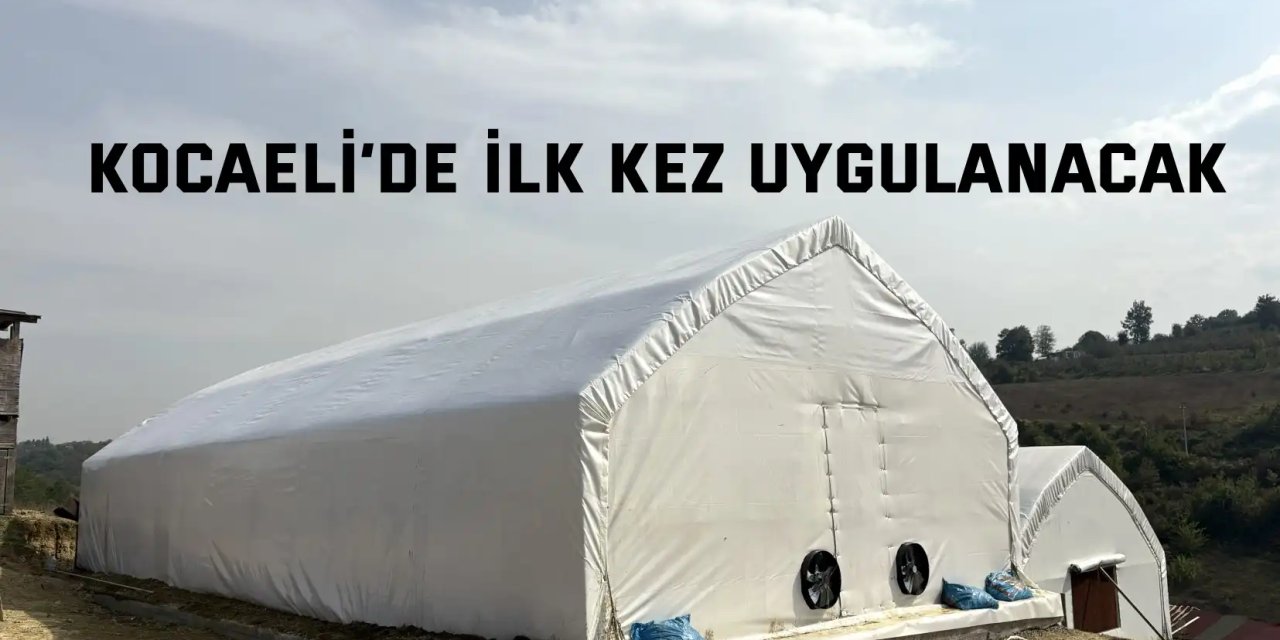 Kırsal kalkınmaya mantar üretim çadırı desteği