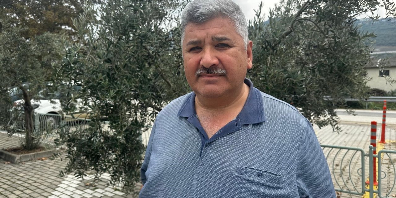 165 bin ton sofralık, 125 bin  ton yağlık zeytin bekleniyor