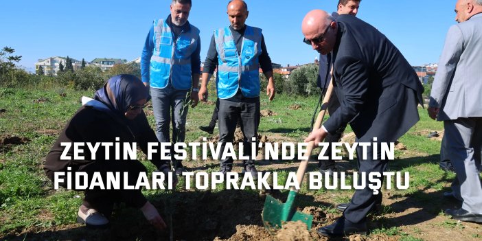 Zeytin Festivali’nde zeytin fidanları toprakla buluştu
