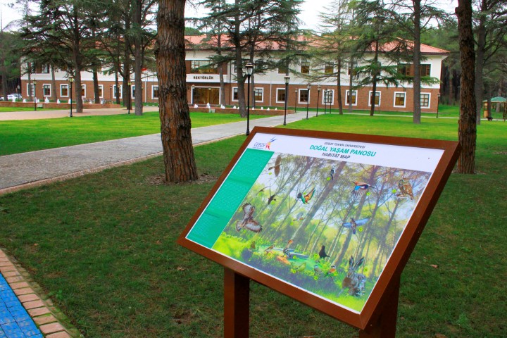 GTÜ’ de 70’e yakın kuş türü