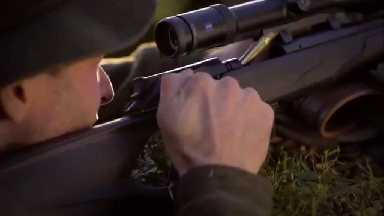 Yaralı şahin Darıca’ya getirildi