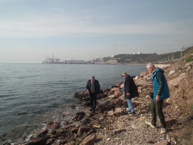 Körfezde kirlilik devam ediyor