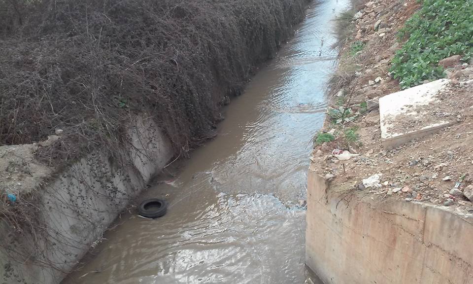 Dere yatakları ilgisizlik kurbanı! 