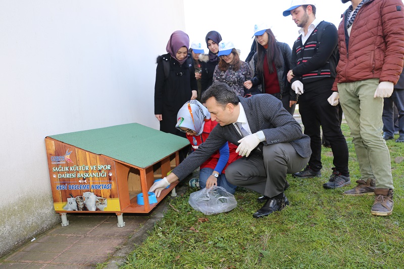 GTÜ’de kedi-köpek besleme noktaları