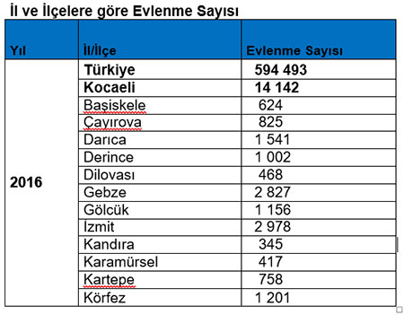 Gebze’de bin 541 çift evlendi