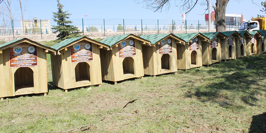 60 köpek evi yaptırıldı