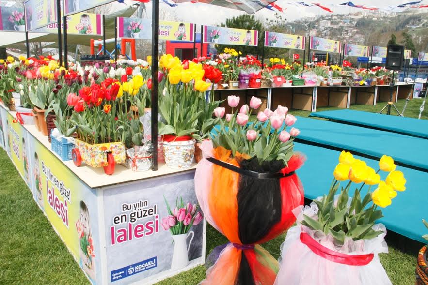 Lale festivali başladı