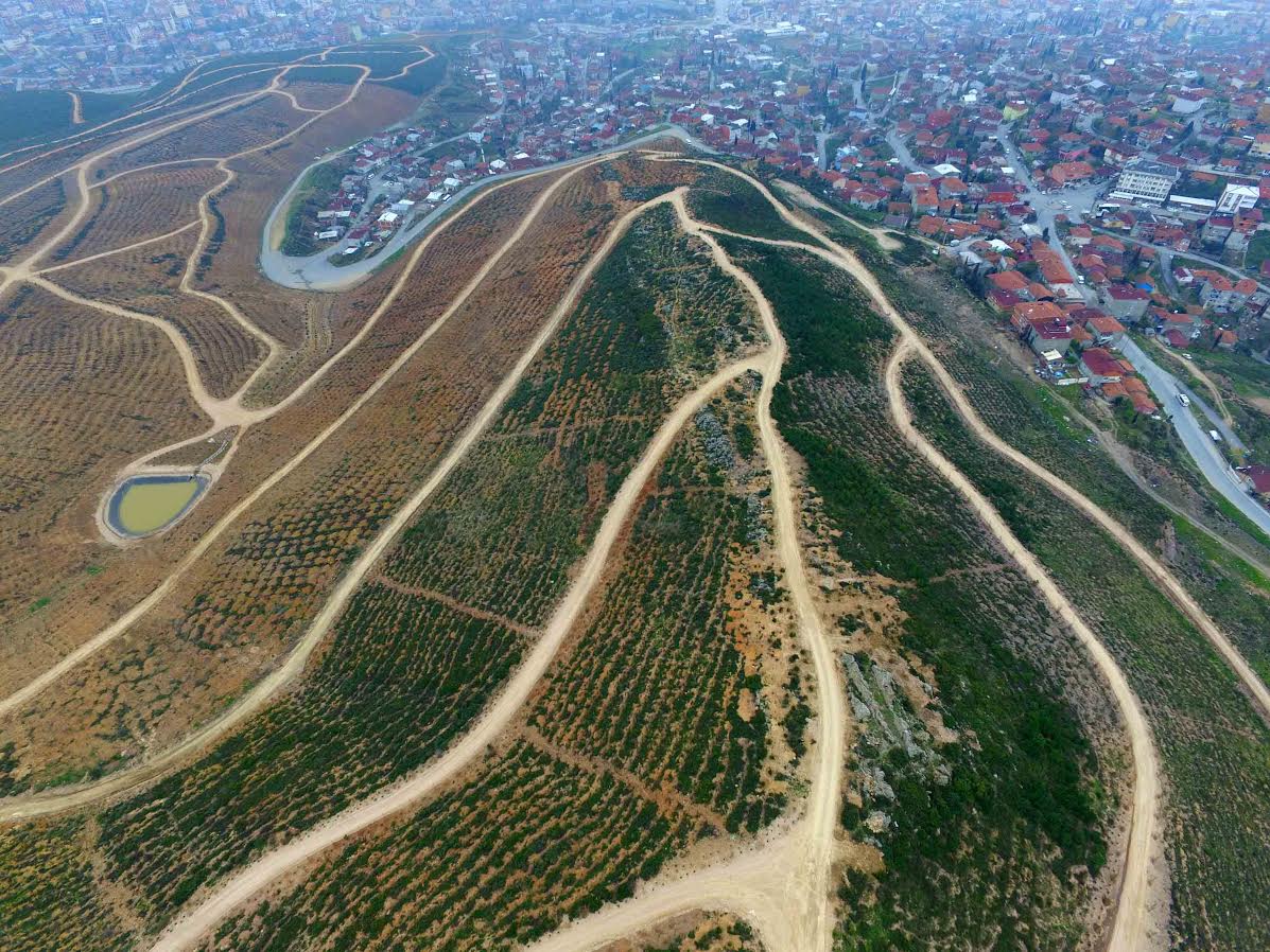 Mesire Alanı’nı aydınlatılacak