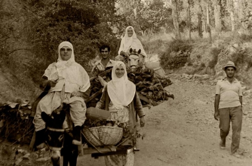 Tavşancıl’da elmalıktan dönerken