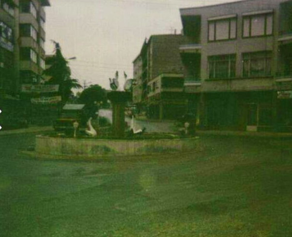 Gebze'nin ördekler kavşağı vardı