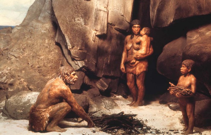 Neandertallerin yok olmasındaki büyük sır