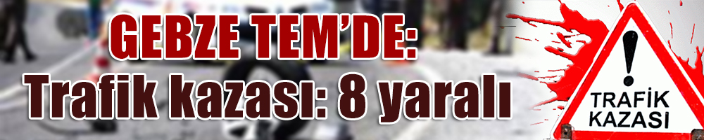 Trafik kazası: 8 yaralı