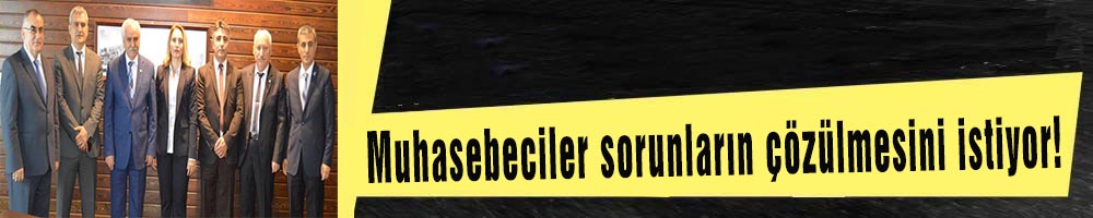Muhasebeciler sorunların çözülmesini istiyor!