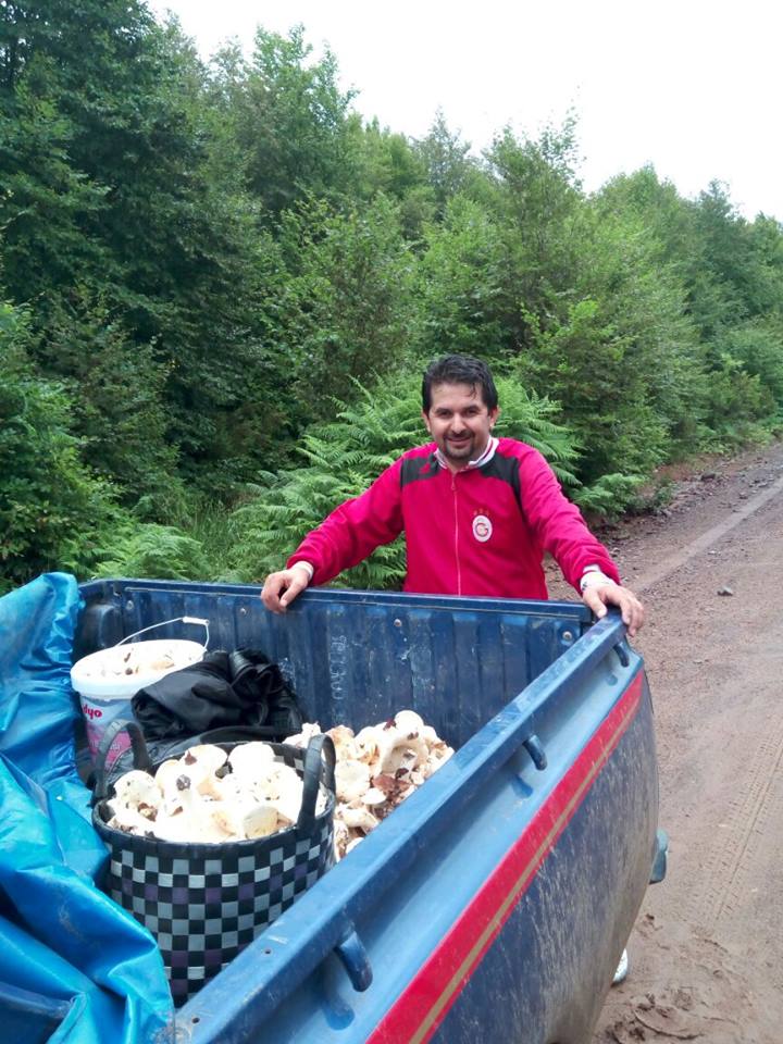 Gebze ormanları mantar dolu!