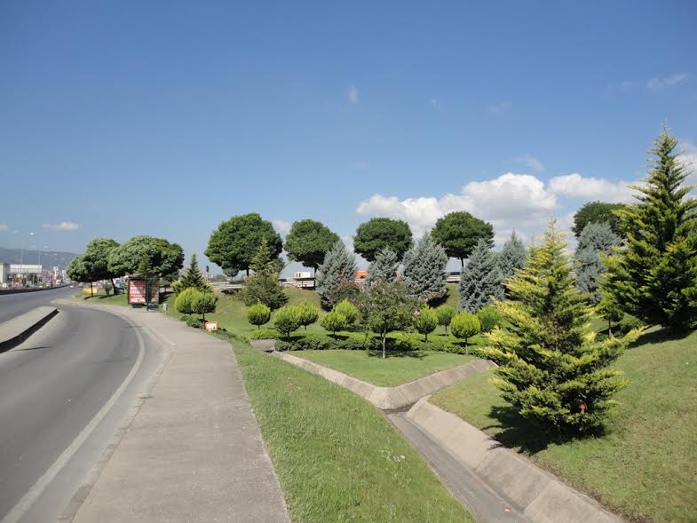 7 milyon 675 bin276 ağacı dikildi