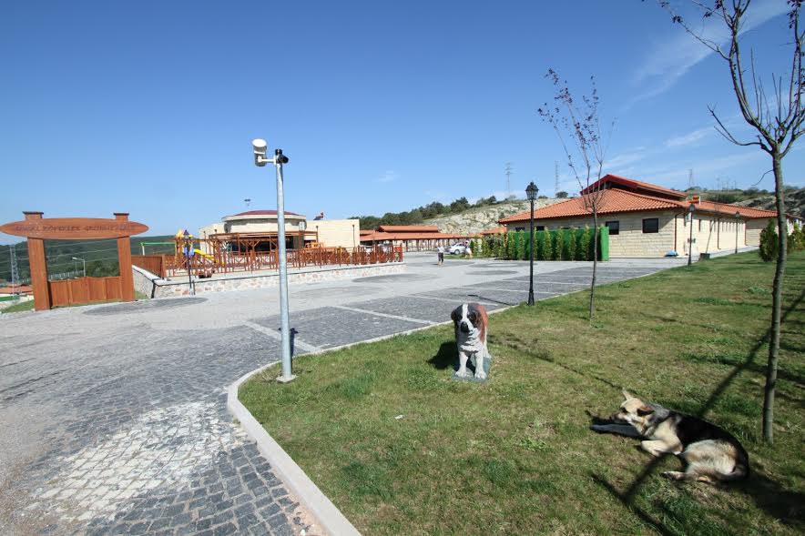 Sokak hayvanları yalnız kalmıyor