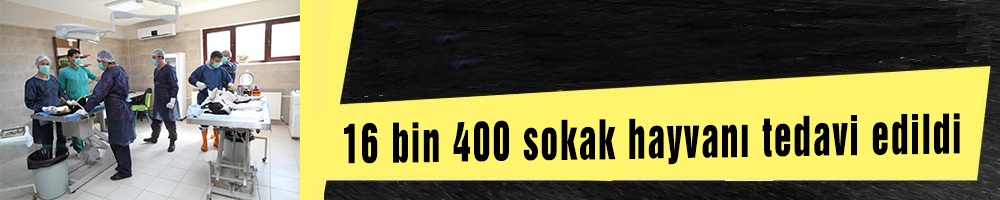 16 bin 400 sokak hayvanı tedavi edildi