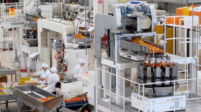 Gebze tesisi sakız üretiminde 1 numara