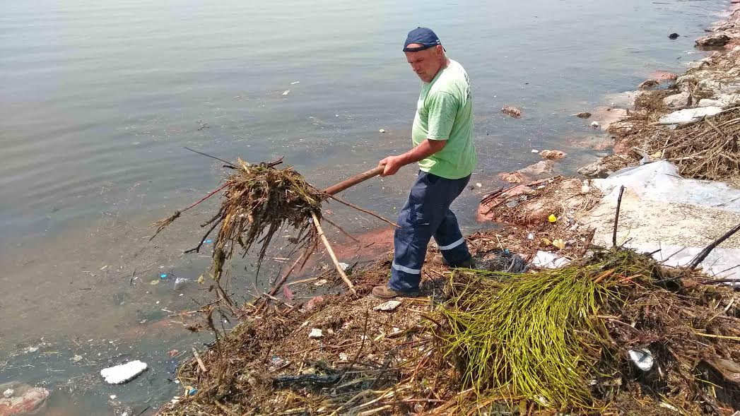 Körfez kıyısındaki atıklar temizleniyor