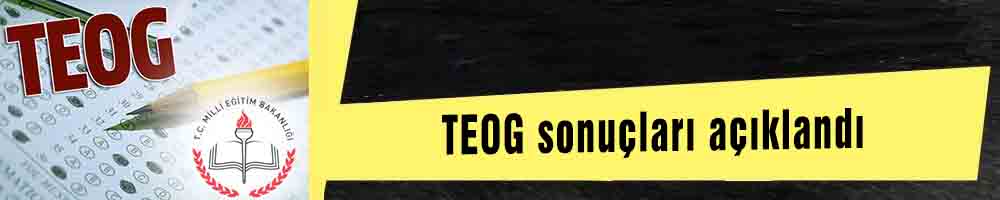 TEOG sonuçları açıklandı