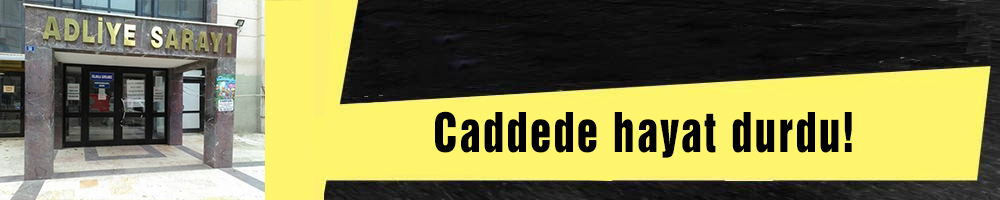 Caddede hayat durdu!