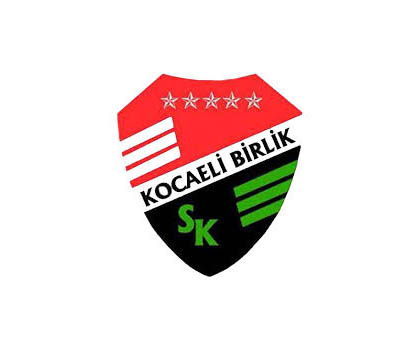 Kocaeli Birlikspor satılmıyor!