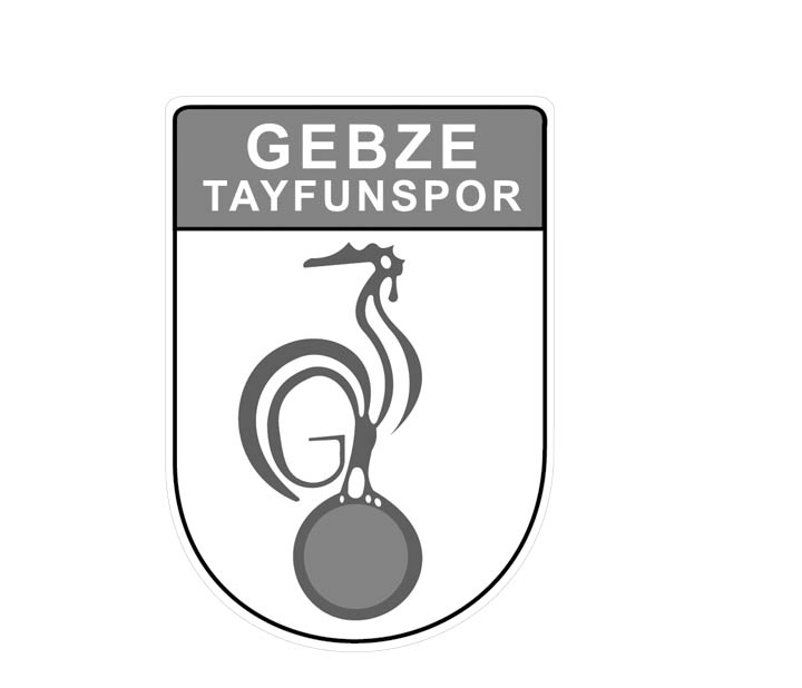 Tayfunspor küllerinden doğuyor