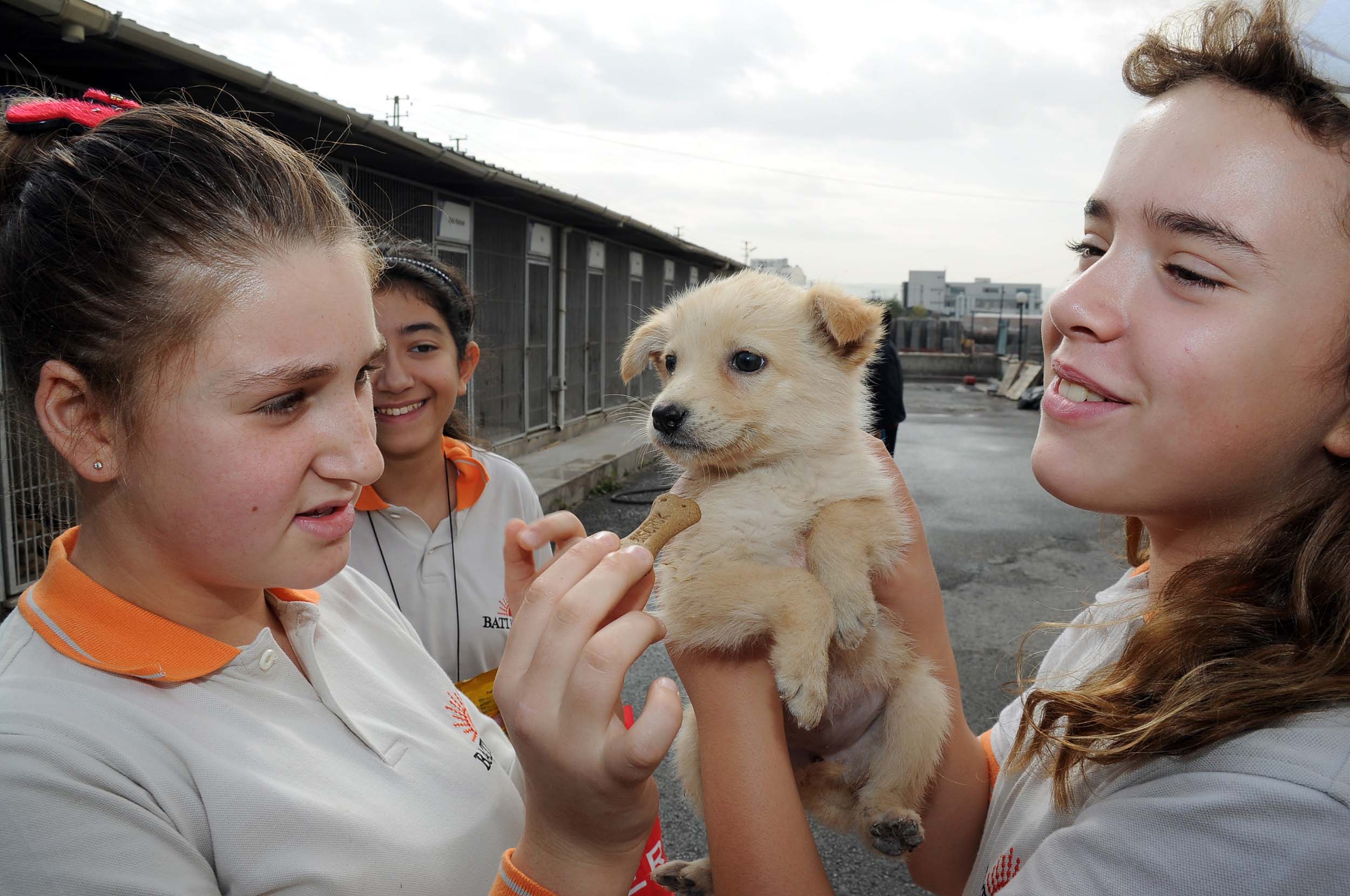 Sertifikalı Pet Shop eğitimi