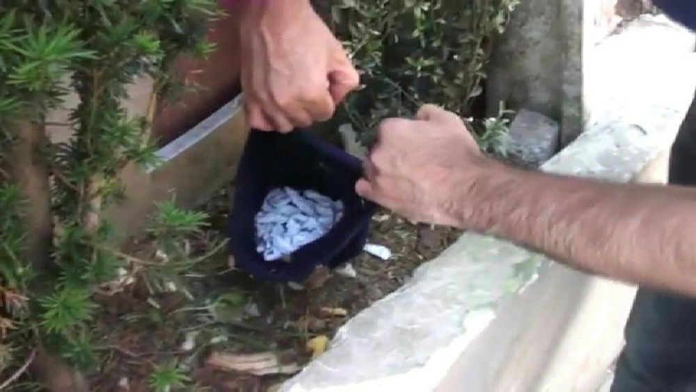 Bonzai yine ölüme götürdü