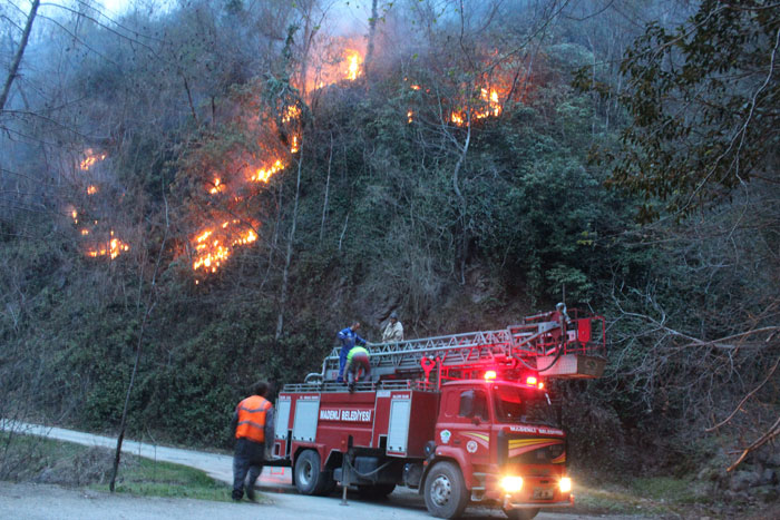 10 yılda 9 bin hektar alan yandı
