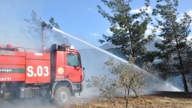 10 dönüm alan yandı