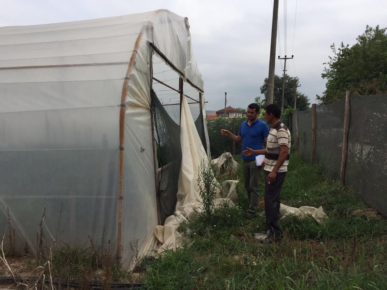 Serası hasar gören üreticilere destek