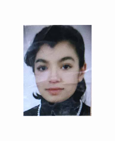 Feribottan atlayıp intihar etti