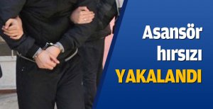 Asansör hırsızı yakalandı