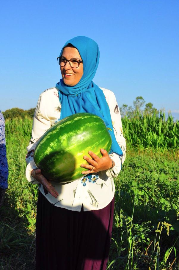 Katırcıoğlu, karpuz hasat etti