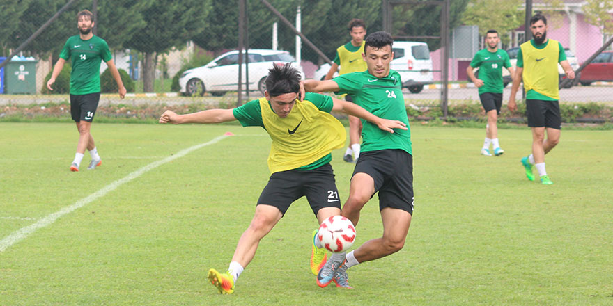 Lig tadında çift kale